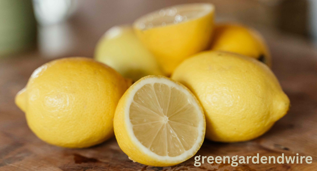 lemon shortage
